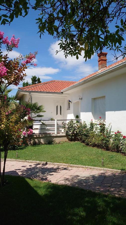 Apartments Tulipan - With Free Private Parking Garage Μόσταρ Εξωτερικό φωτογραφία