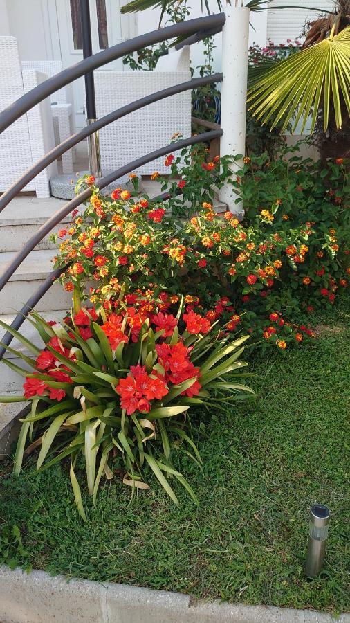 Apartments Tulipan - With Free Private Parking Garage Μόσταρ Εξωτερικό φωτογραφία
