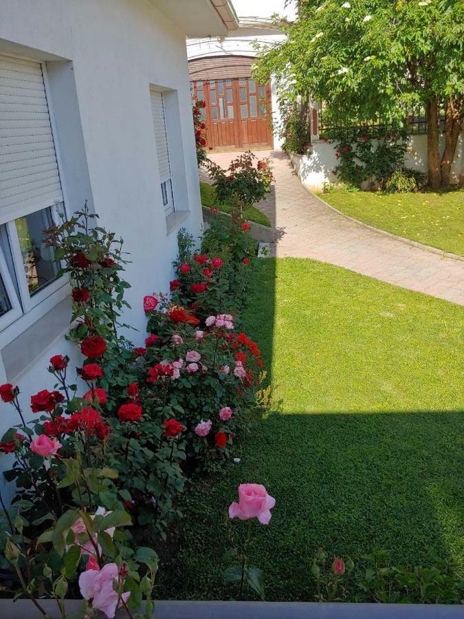 Apartments Tulipan - With Free Private Parking Garage Μόσταρ Εξωτερικό φωτογραφία